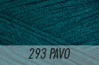 H RIO 293-PAVO